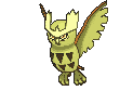 Noctowl animated shiny
