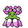Bellossom gold