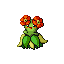 Bellossom emerald