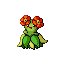 Bellossom ruby-sapphire