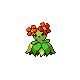 Bellossom platinum