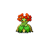Bellossom black-white