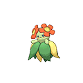 Bellossom omegaruby-alphasapphire