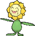 Sunflora x-y