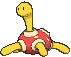 Shuckle animated