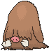 Piloswine animated