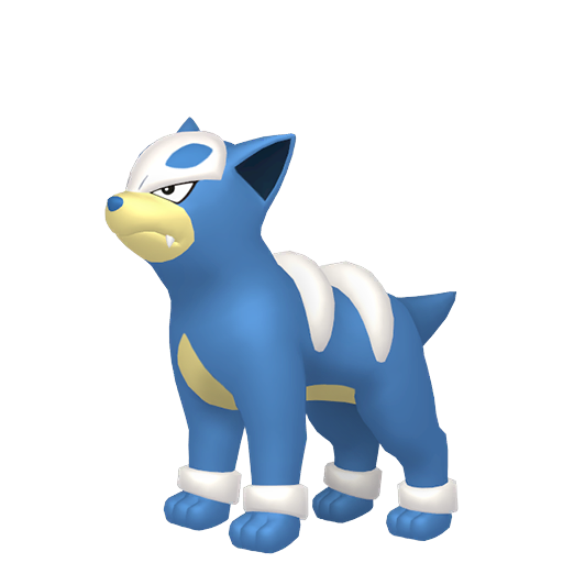 Houndour home shiny