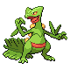 Sceptile diamond-pearl