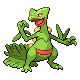 Sceptile platinum