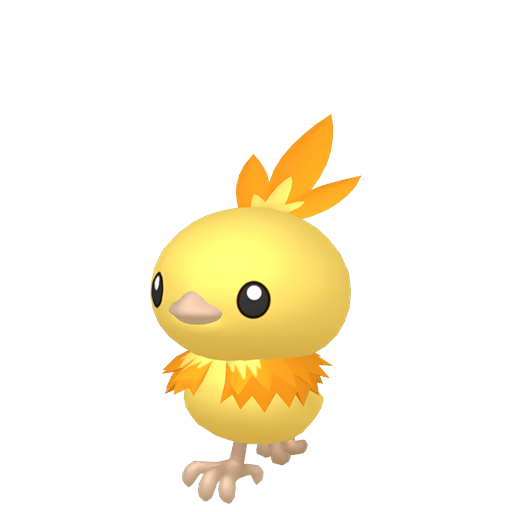 Torchic home shiny