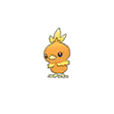 Torchic ultra-sun-ultra-moon