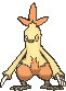 Combusken animated