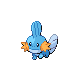 Mudkip platinum