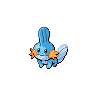 Mudkip black-white