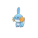 Mudkip ultra-sun-ultra-moon