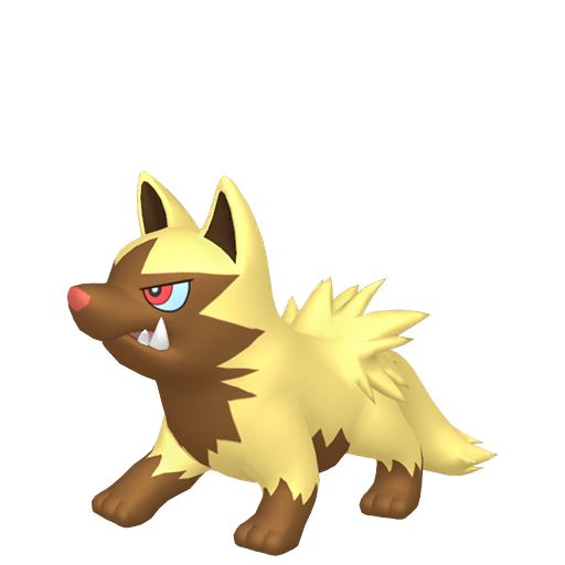 Poochyena home shiny