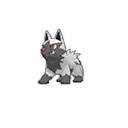 Poochyena ultra-sun-ultra-moon