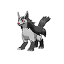Mightyena ultra-sun-ultra-moon
