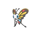 Beautifly ultra-sun-ultra-moon