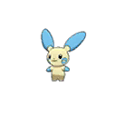 Minun ultra-sun-ultra-moon