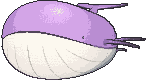 Wailord animated shiny