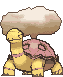 Torkoal animated shiny
