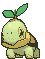 Turtwig Animated