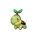 Turtwig platinum