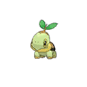 Turtwig ultra-sun-ultra-moon