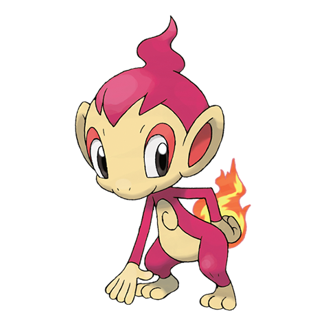 Chimchar Shiny