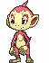 Chimchar animated shiny