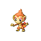 Chimchar diamond-pearl
