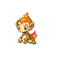 Chimchar heartgold-soulsilver
