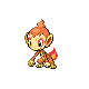 Chimchar platinum