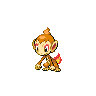 Chimchar black-white