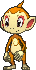 Chimchar x-y