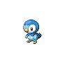 Piplup black-white