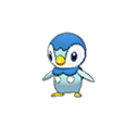 Piplup ultra-sun-ultra-moon