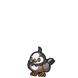 Starly scarlet-violet