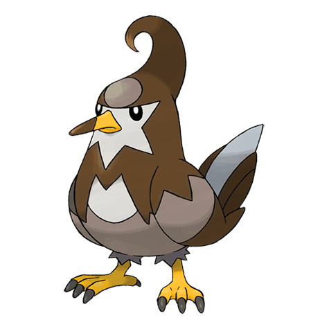 Staravia Shiny
