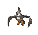 Staravia animated