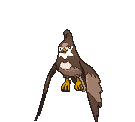Staravia animated shiny