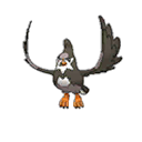 Staravia ultra-sun-ultra-moon