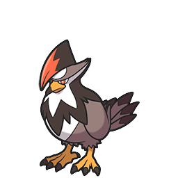 Staraptor brilliant-diamond-shining-pearl