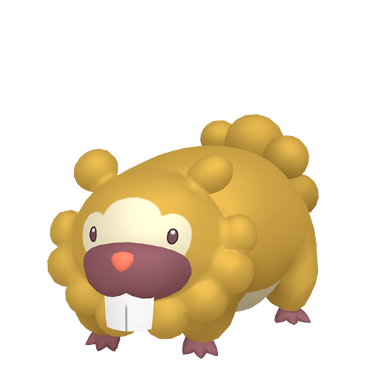 Bidoof home shiny