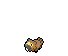 Bidoof icons