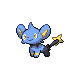 Shinx diamond-pearl