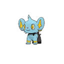 Shinx ultra-sun-ultra-moon