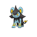 Luxio ultra-sun-ultra-moon