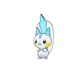 Pachirisu omegaruby-alphasapphire